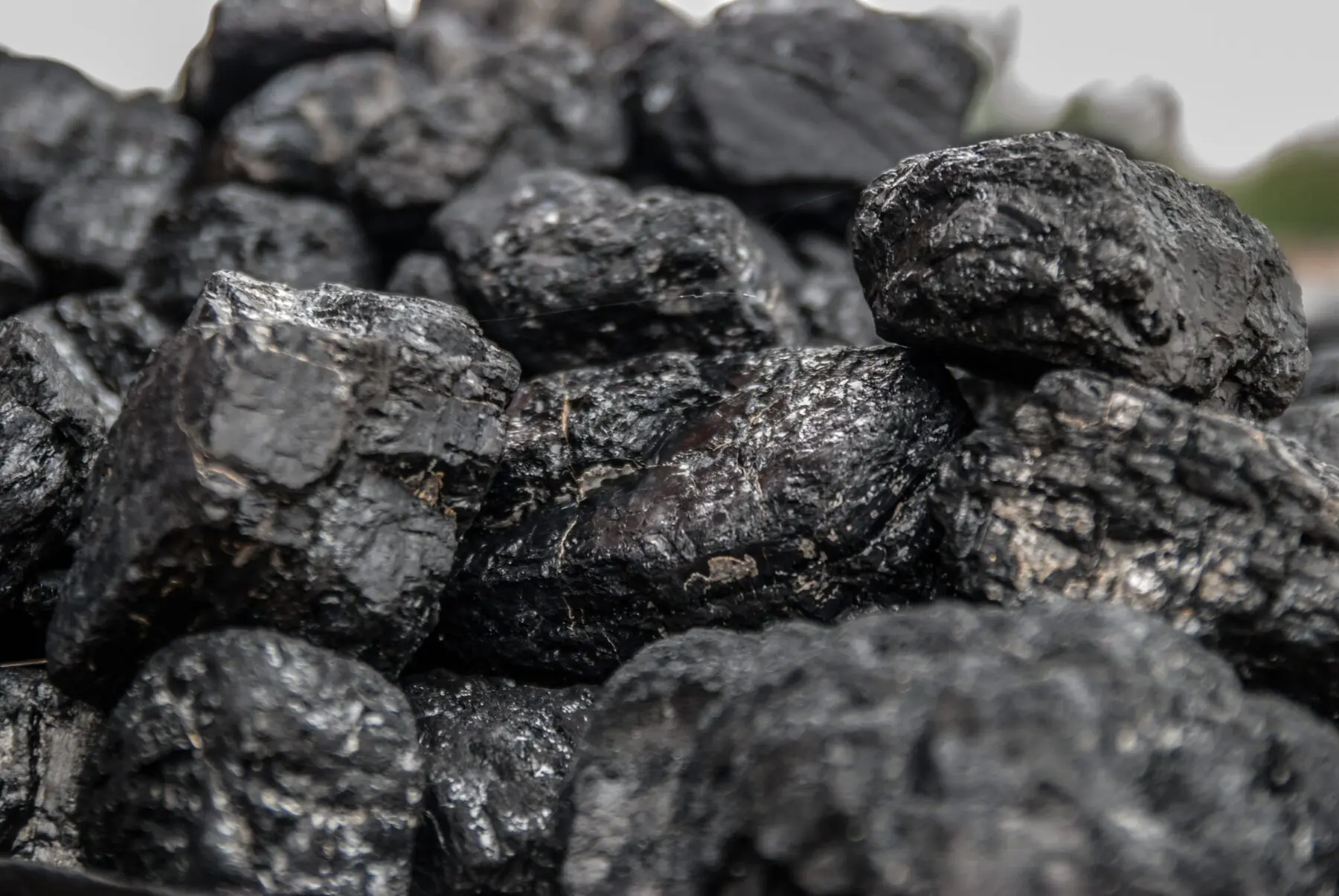 Can Divestment Help Put Coal to Bed and Pave the Way for Renewables?