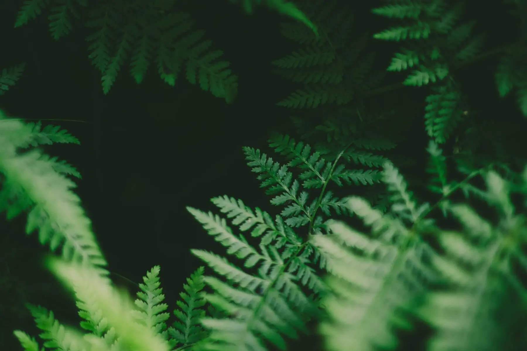 Sustainable PR pens guide to avoid “greenwashing”
