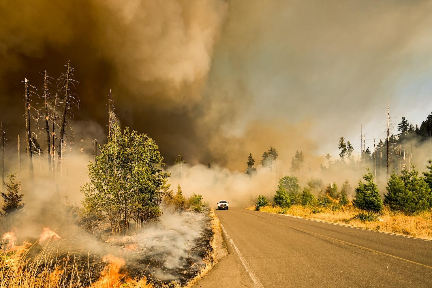 A Spark from the Ashes: Ways to Prevent Wildfires